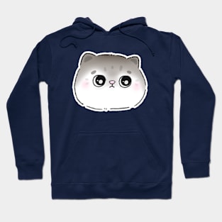 Cat Hoodie